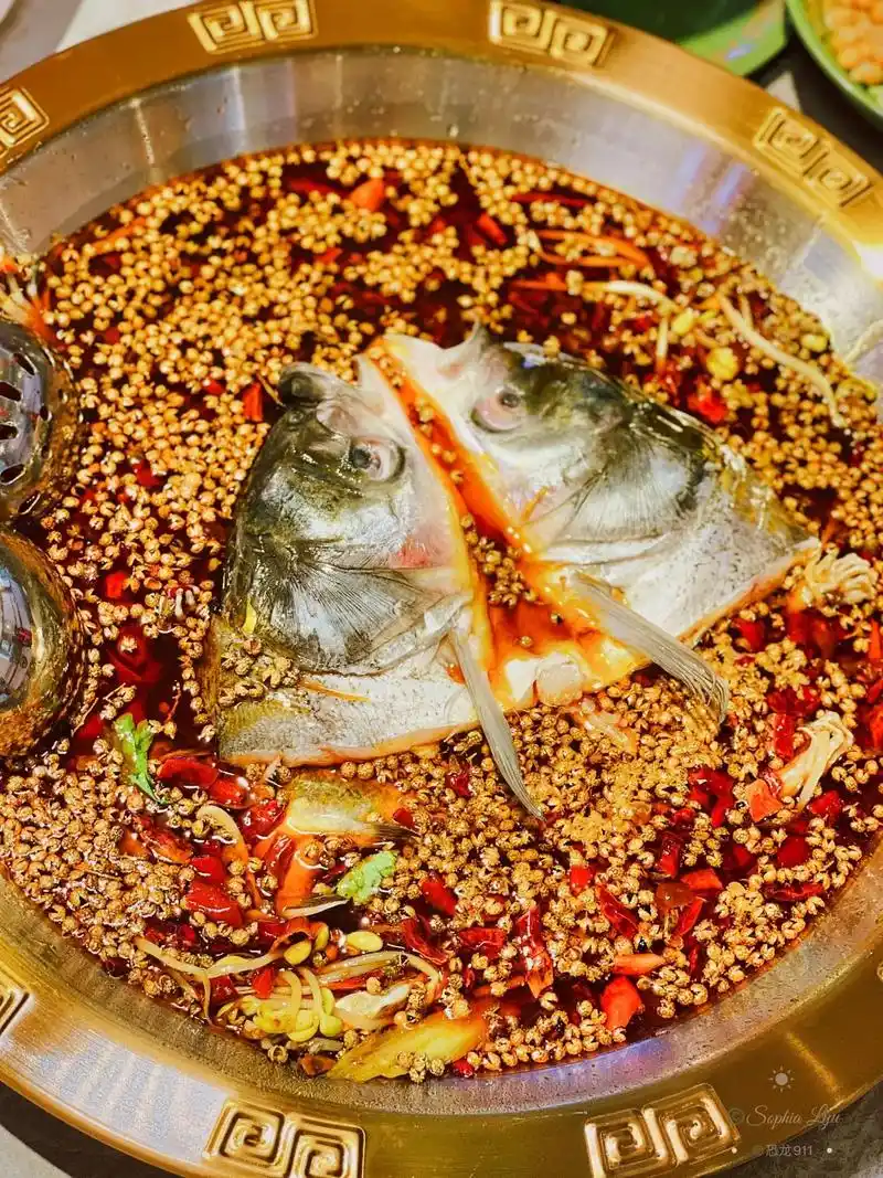 惊为天人的齐庆美蛙鱼头火锅92.#美蛙鱼火锅#抖音团购优惠  - 抖音