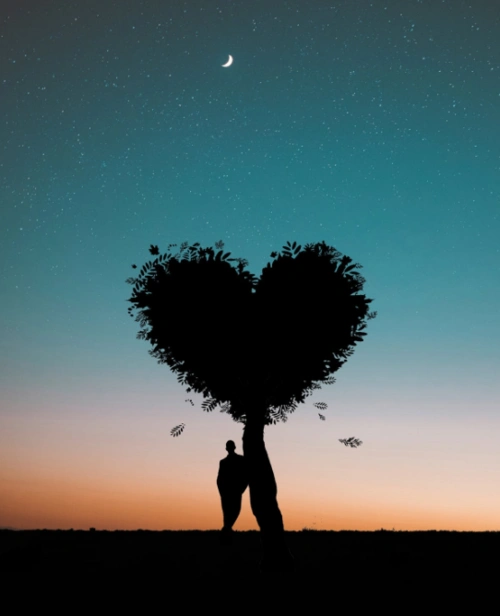 十二星座在异地恋中能坚持多久