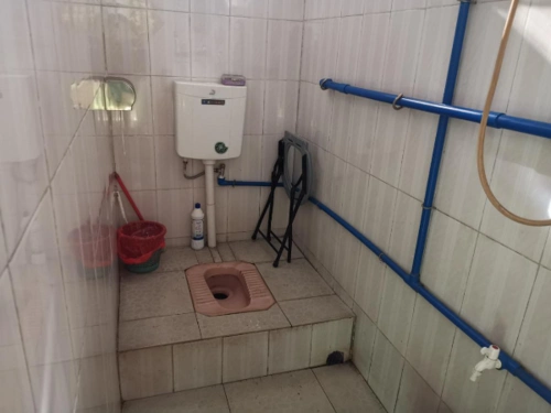 水头镇农村"厕所革命"见实效