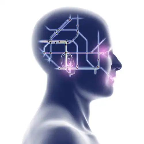 脑,脊髓,一个人,无人,方图,插画,室内,白天,白色背景,正面,数码,科技