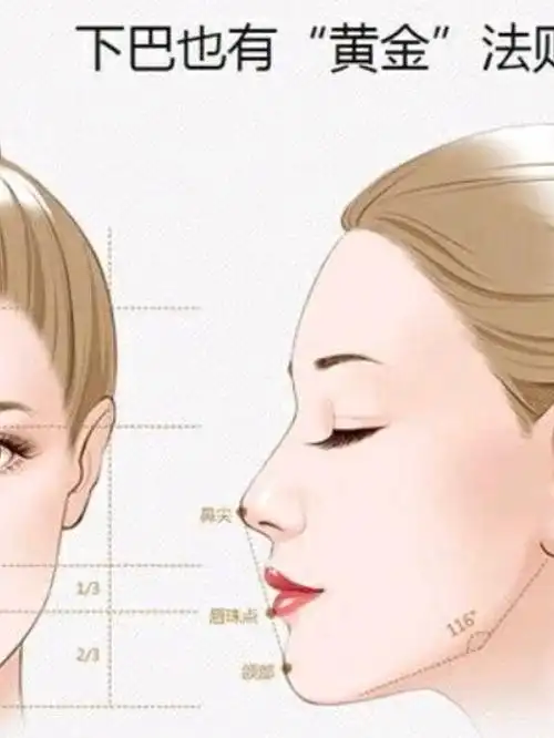 部分 因为下巴和嘴唇位置紧密相连 下巴的形态是否美观,比例是否协调