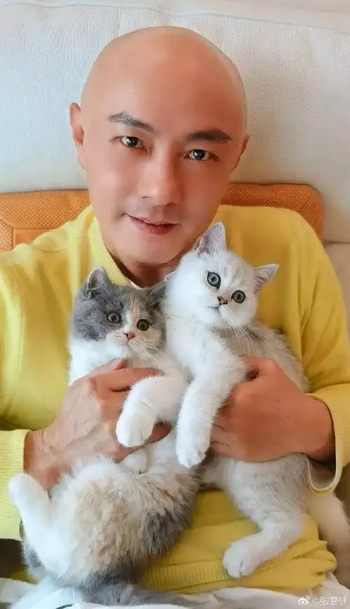 "前几天,"冻龄男神"张卫健分享了自己的近照,有人辣评