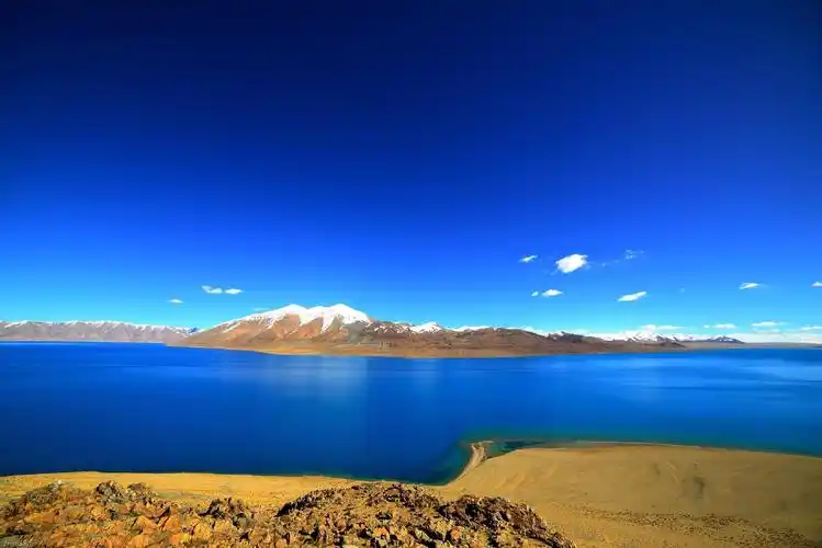 拉萨持续推动公共交通低碳转型——  绿色交通让出行更便捷