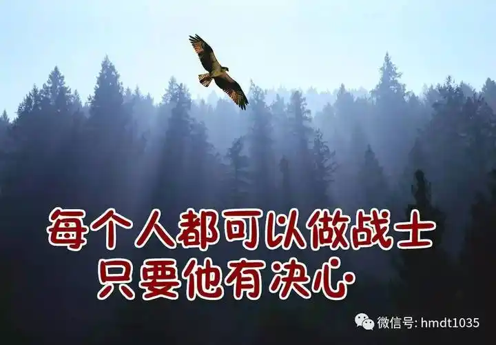 他是一个平凡的人.每个人都可以做战士,只要他有决心.