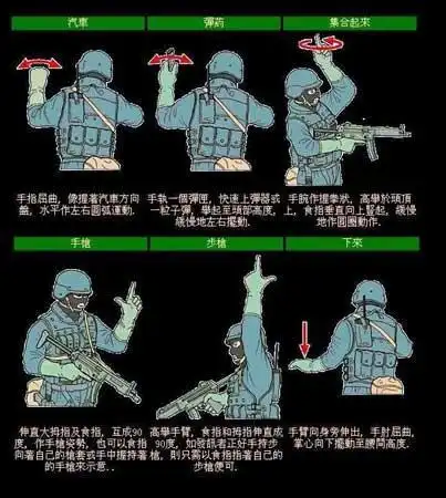 引用 中国特警战术手语
