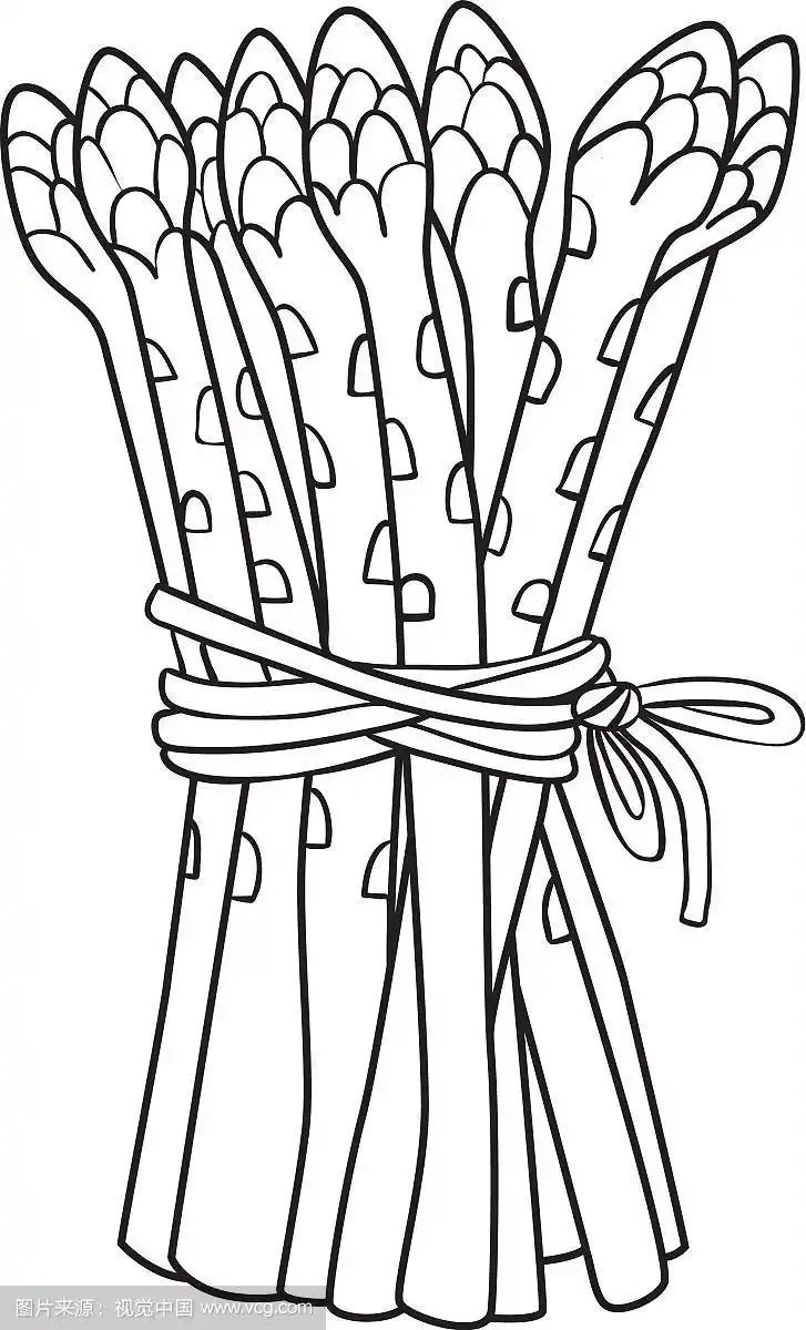 芦笋的卡通形象