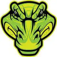 微信头像蛇图片大全【点击鼠标右键下载】