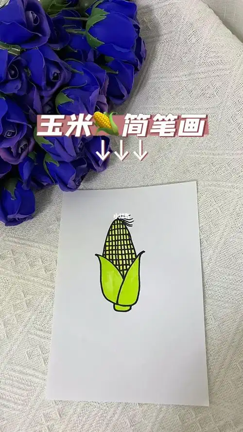 玉米简笔画