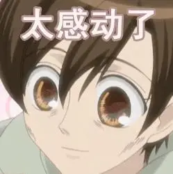 太感动了动漫开心gif动图_动态图_表情包下载_soogif