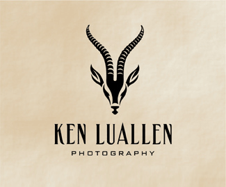 羚羊标志logo设计含义,品牌策划vi设计介绍