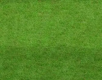 3d绿色草坪贴图,草皮贴图,草地贴图,草地材质,草地图片,植草砖贴图