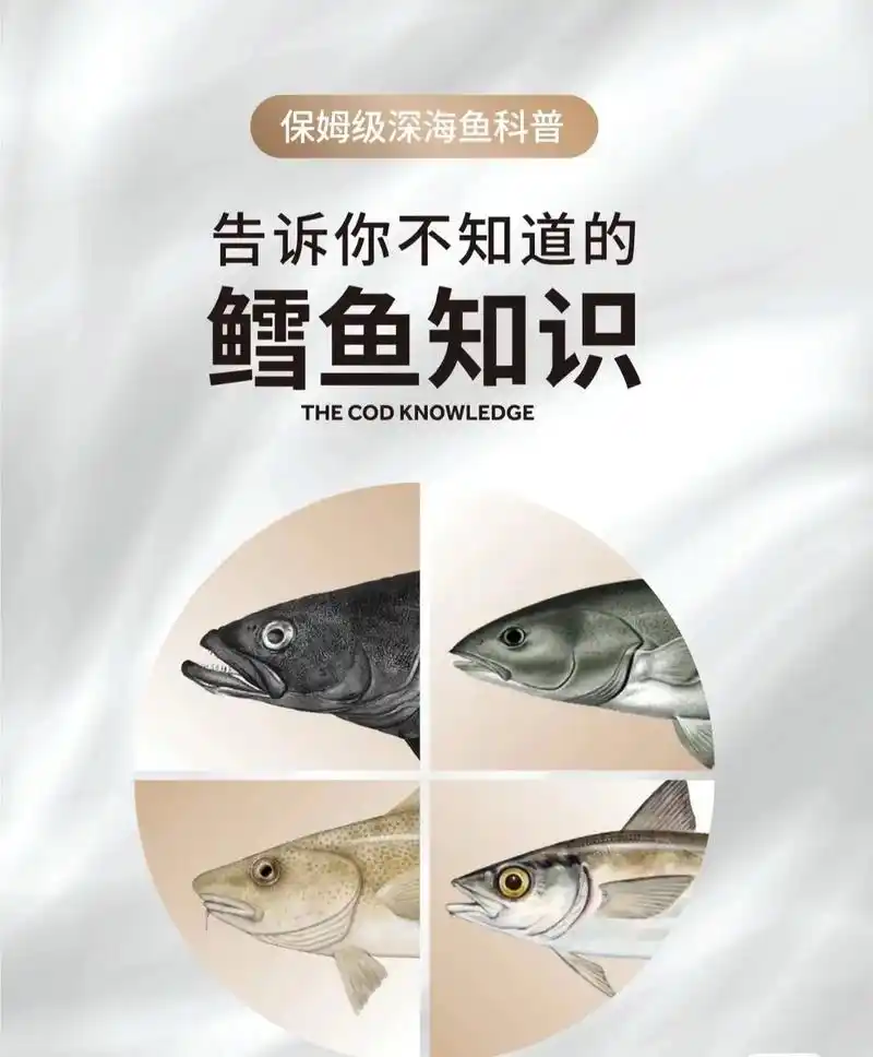 5张图片清晰明了的介绍了常见鳕鱼的区别.# - 抖音