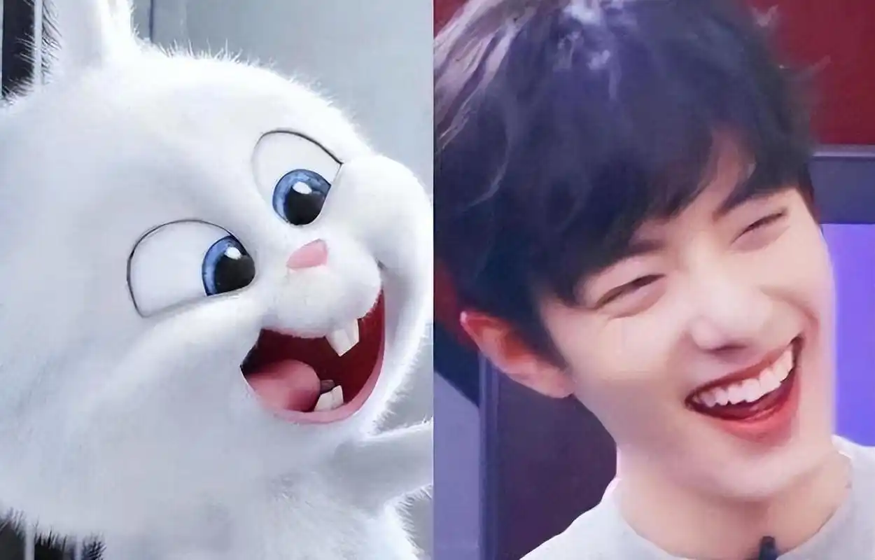 一,肖战——兔子or宠物小猫