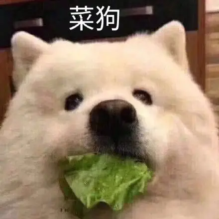 一众新表情中,菜狗的动态更加搞笑,打开你的手机qq