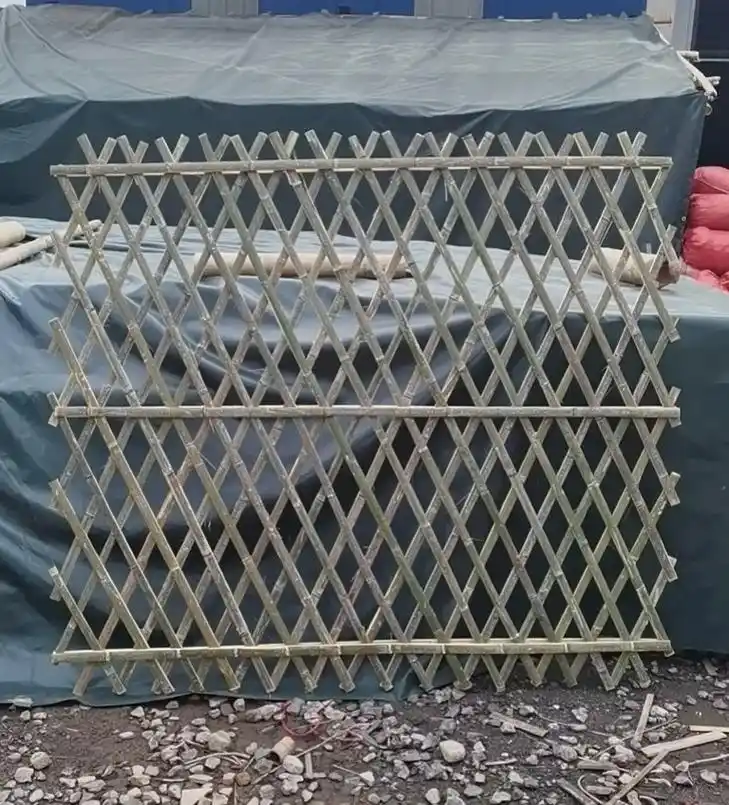 1.8米竹篱笆,鸡鸭圈养围栏,农村人居环境整治行动#竹篱笆厂 - 抖音