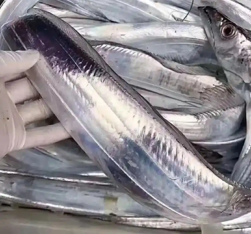 东北人在我的认知里带鱼天生就是冻的