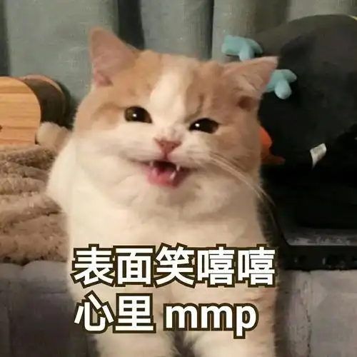 表面笑嘻嘻心里mmp(猫咪)感到蕉绿大傻逼感人(感人)你要的神表情都在