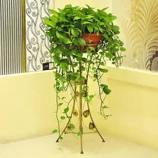 特价欧式复古铁艺自行车花台花盆架阳台室内客厅绿萝花架子