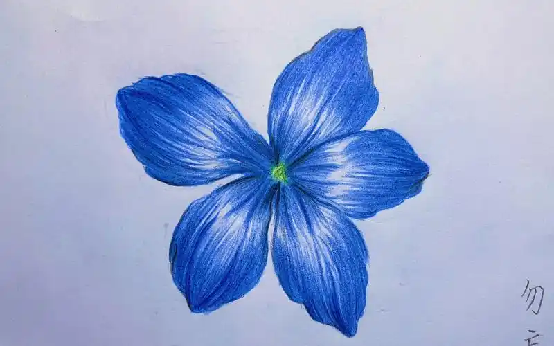 【彩铅】1.勿忘我