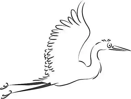 保护白鹭守护家园致全县人民的倡议书