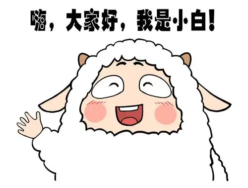 嗨大家好我是小白.jpg