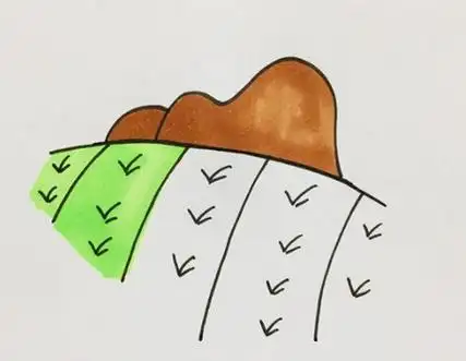 稻田简笔画步骤