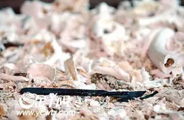 尸体火化惊见手术刀,刀从何来?