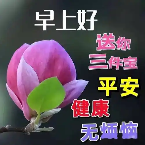 早上好!清晨的阳光洒满了大地,让我们倍感温暖与生机.