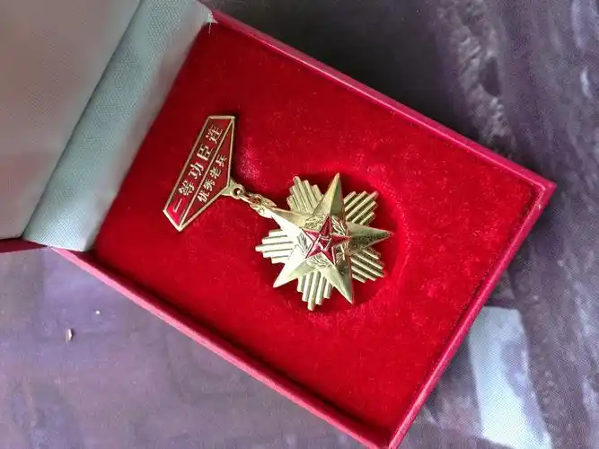 军章闪亮 - 『 其它爱好 区』 - 北旅之星望远镜