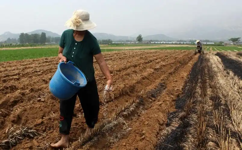 作物种植施肥优劣大比武!