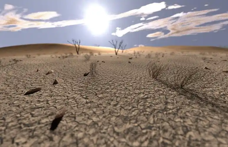 《荒漠》实景练习