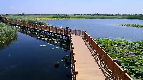20190824白洋淀长廊,西堤白洋淀游