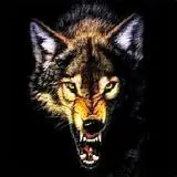 狼头微信头像 滴血狼头微信头像