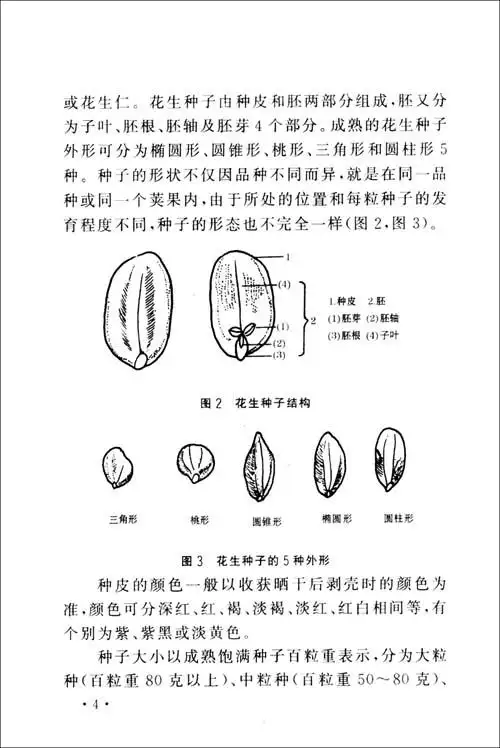 花生高产栽培技术