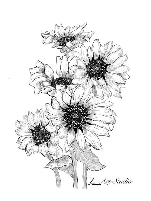 线描向日葵
