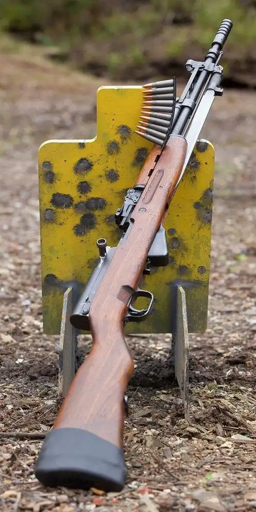 多维度评测ak步枪和sks步枪性价比到实用性谁才是步枪之王