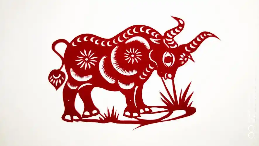 牛剪纸图案步骤 手工剪纸图片大全简单-蒲城教育文学网