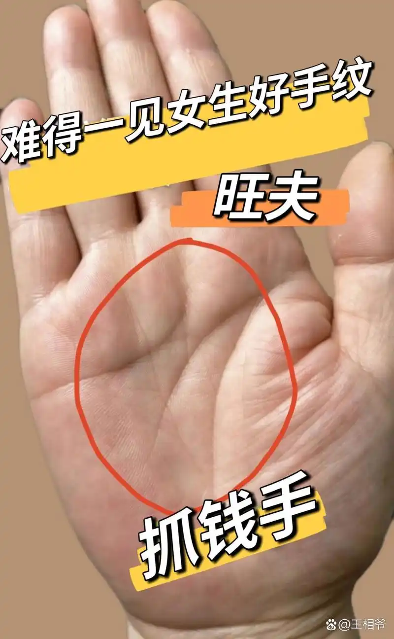 手纹# #掌纹的秘密川字手掌手掌画看看你
