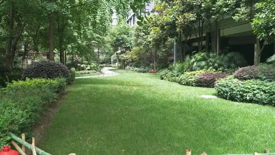 叠翠峰项目园区草坪之蝶变