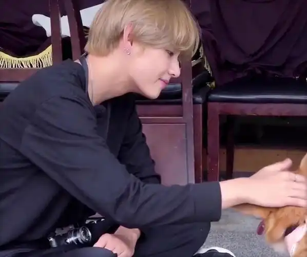 和金泰亨一起过七夕!(男友照大放送)