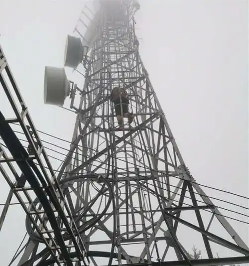 市无线数字电视公司抢修中华山发射塔保信号畅通