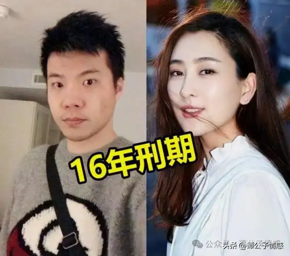 知名女星前夫摊上事!因造谣马苏卖淫,吸毒,数罪并罚判16年
