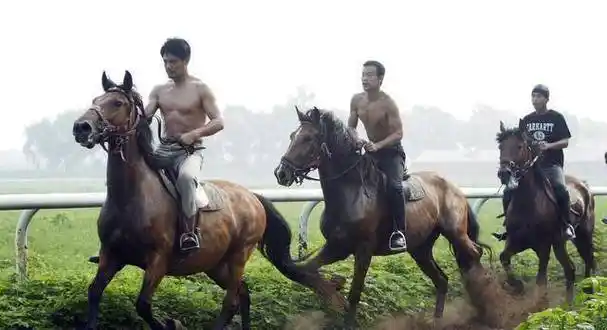 原创原创让子弹飞为什么那么好看廖凡和邵兵的肌肉功不可没