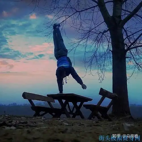 想做一个街健的logo,是用人旗呢还是俄挺还是倒立撑呢? - 知乎