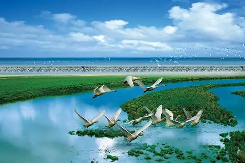 鄱阳湖国家湿地公园一日游(内湖)