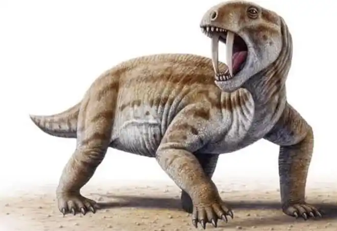 异齿龙的船帆可以帮助异齿龙漂洋过海吗科学家带来新的猜想