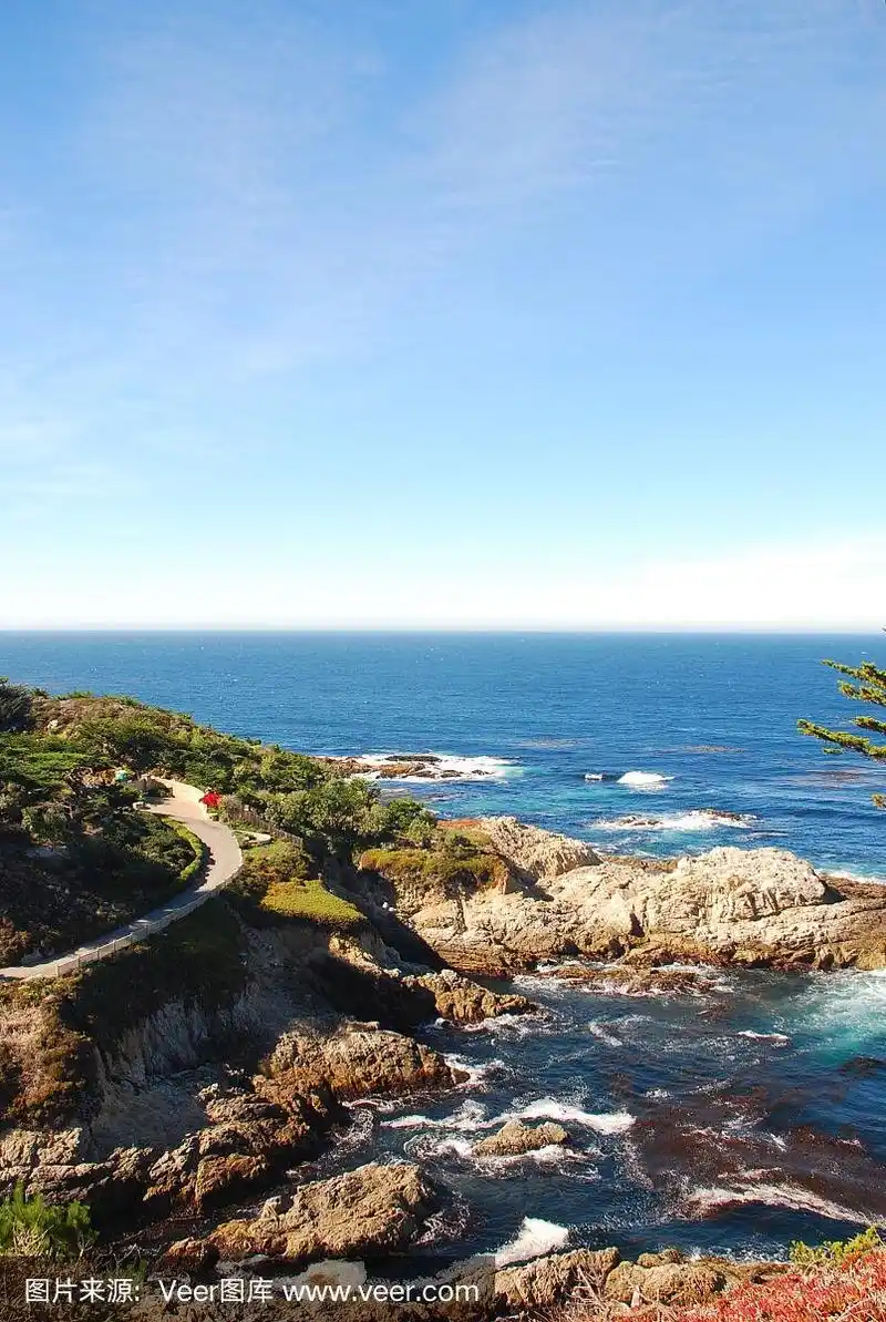 罗博斯角州立保护区,蒙特利半岛,加利福尼亚,垂直画幅,水