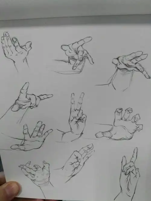 速写手部临摹速写手部临摹双手