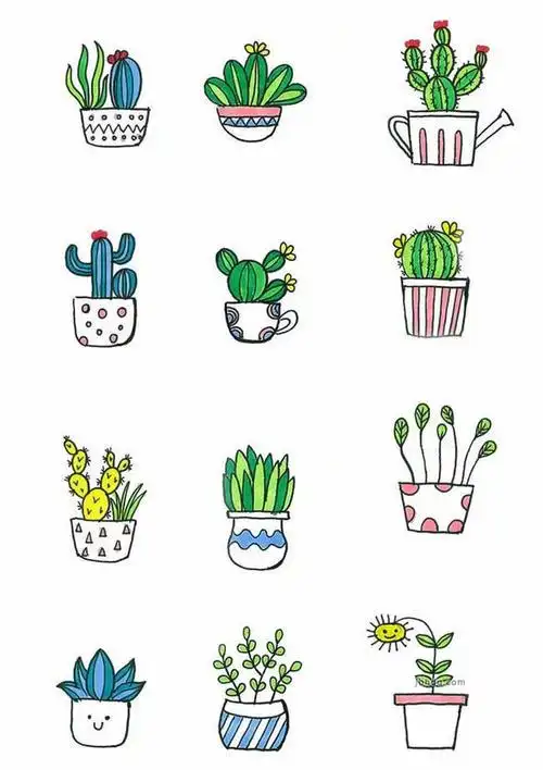 盆栽简笔画图片大全 72款彩色手绘可爱盆栽植物简笔画