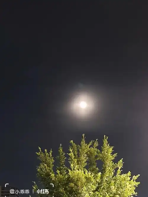 十六的月亮圆又圆